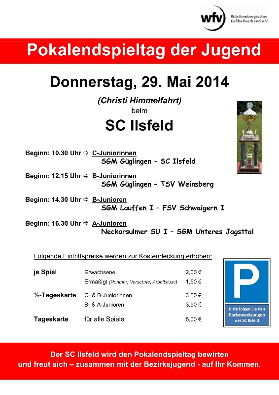 Pokalendspiele der Jugend 2014 in Ilsfeld