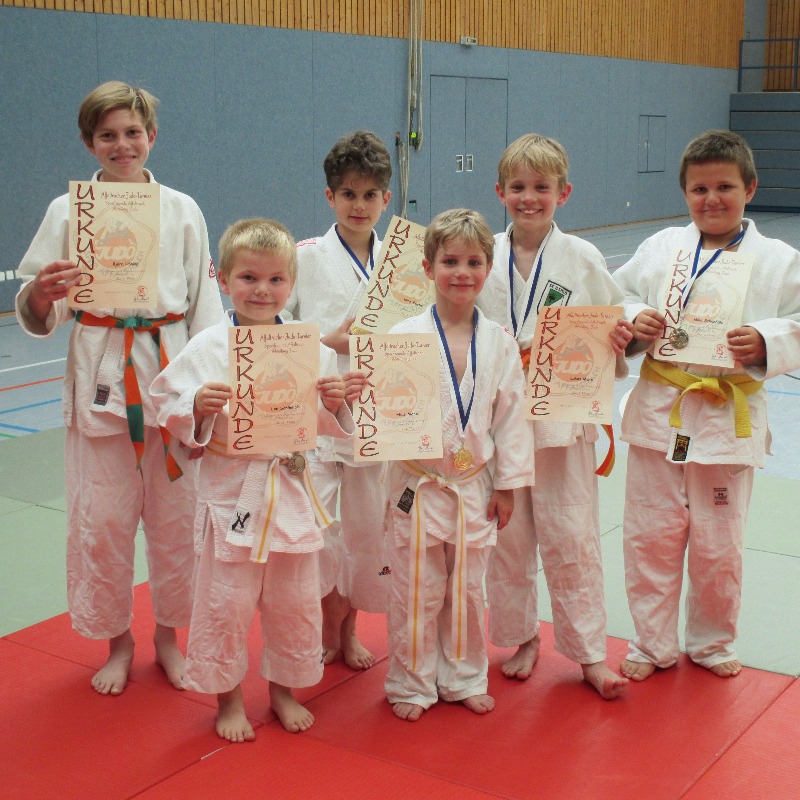 Judokas kämpfen beim 19. Affaltracher Judoturnier