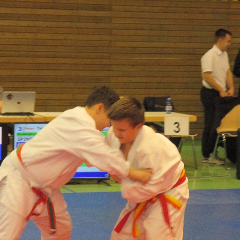 Mika erkämpft württ. Vizemeistertitel im Judo
